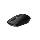 Rapoo B30 Silent Wireless Optical Mouse