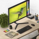 Xiaomi Mi 23.8" Desktop Monitor 1C