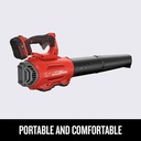 Craftsman Electric Blower 800W (SM-001 )