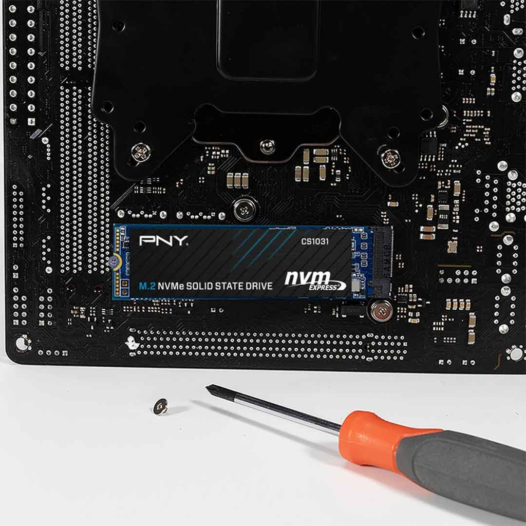 PNY 256GB M.2 NVMe Gen3 SSD (CS1031)