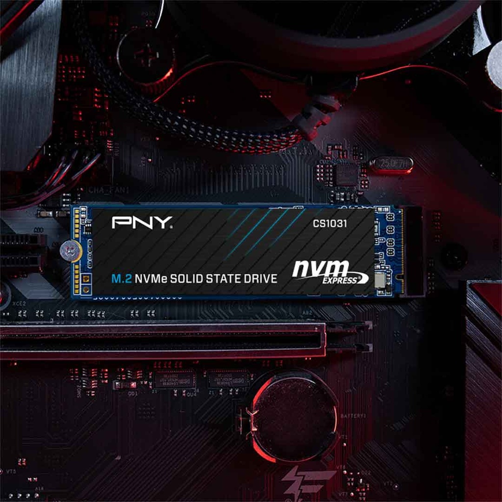 PNY 256GB M.2 NVMe Gen3 SSD (CS1031)