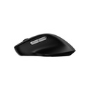 Rapoo M50 Plus Silent Wireless Optical Mouse (3200 DPI)