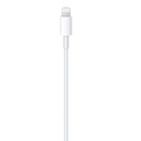 Apple USB-C to Lightning Cable 1m