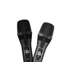 HiFuture Boombeat Go Thunderous 350W Party Power | Multiple Audio Input |  Dual Wireless Microphones | 12 Hours of Uninterrupt-ed Playtime Battery