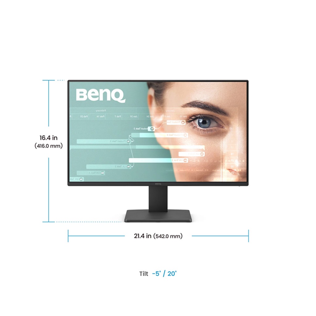 BenQ GW2491 24" IPS FHD Gaming Monitor (Black)
