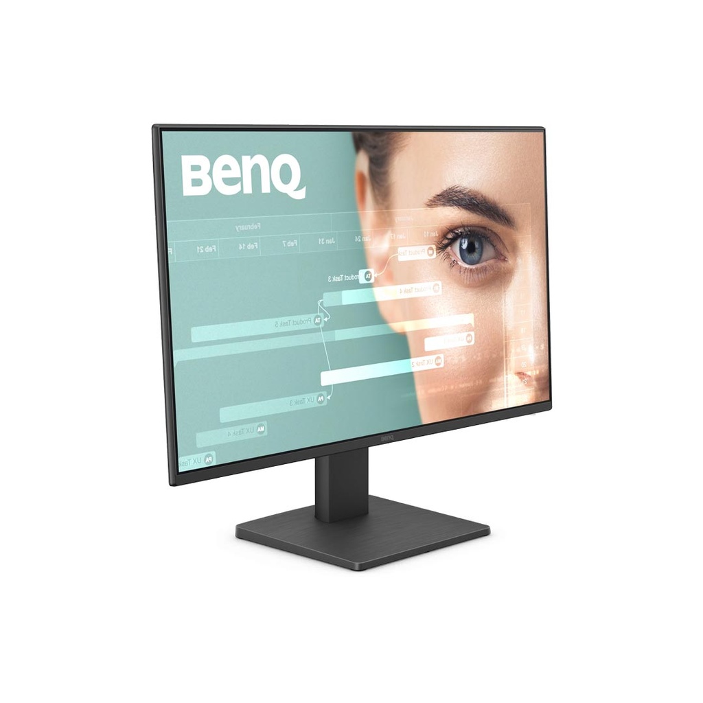 BenQ GW2491 24" IPS FHD Gaming Monitor (Black)