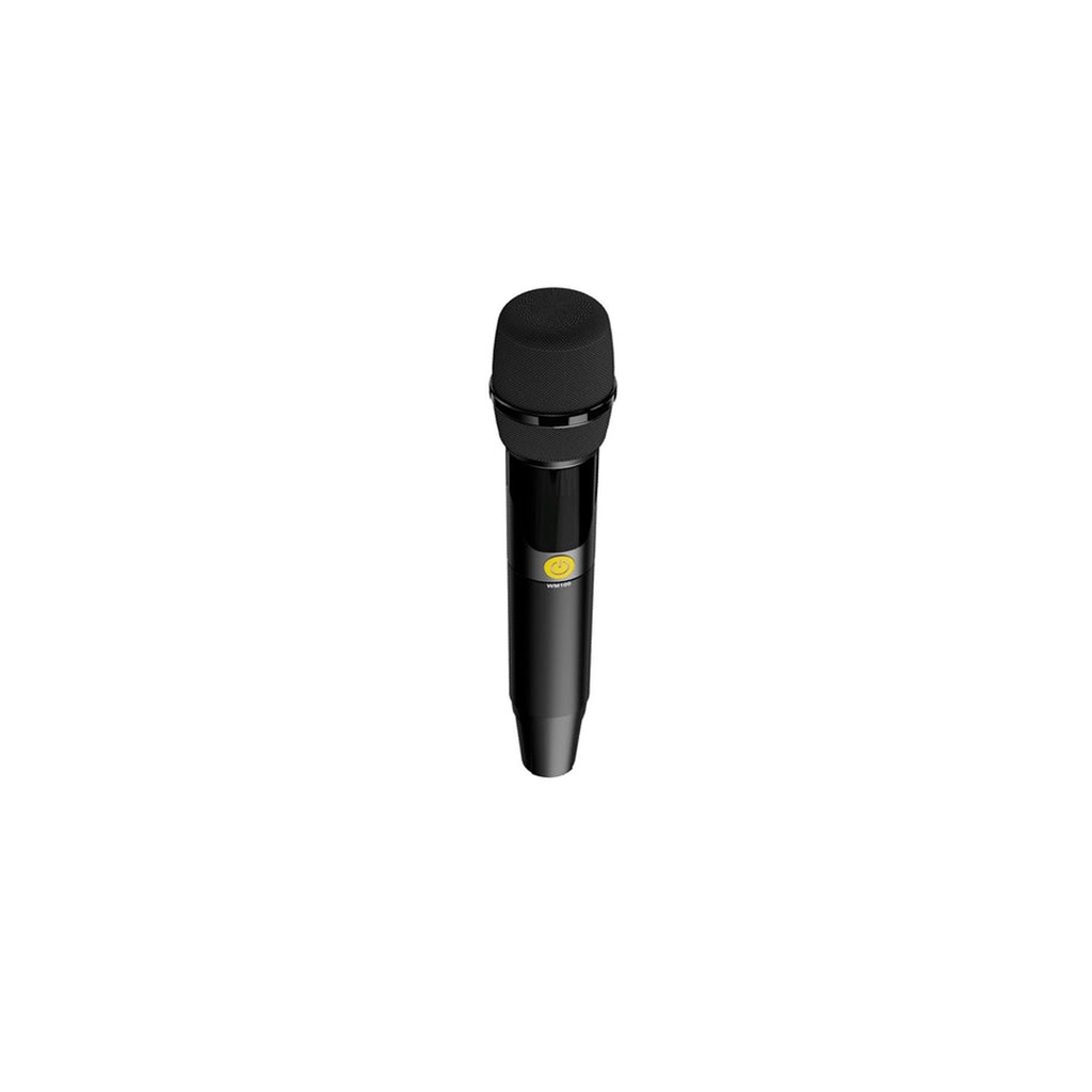 HiFuture WM100 Professional Wireless Microphone