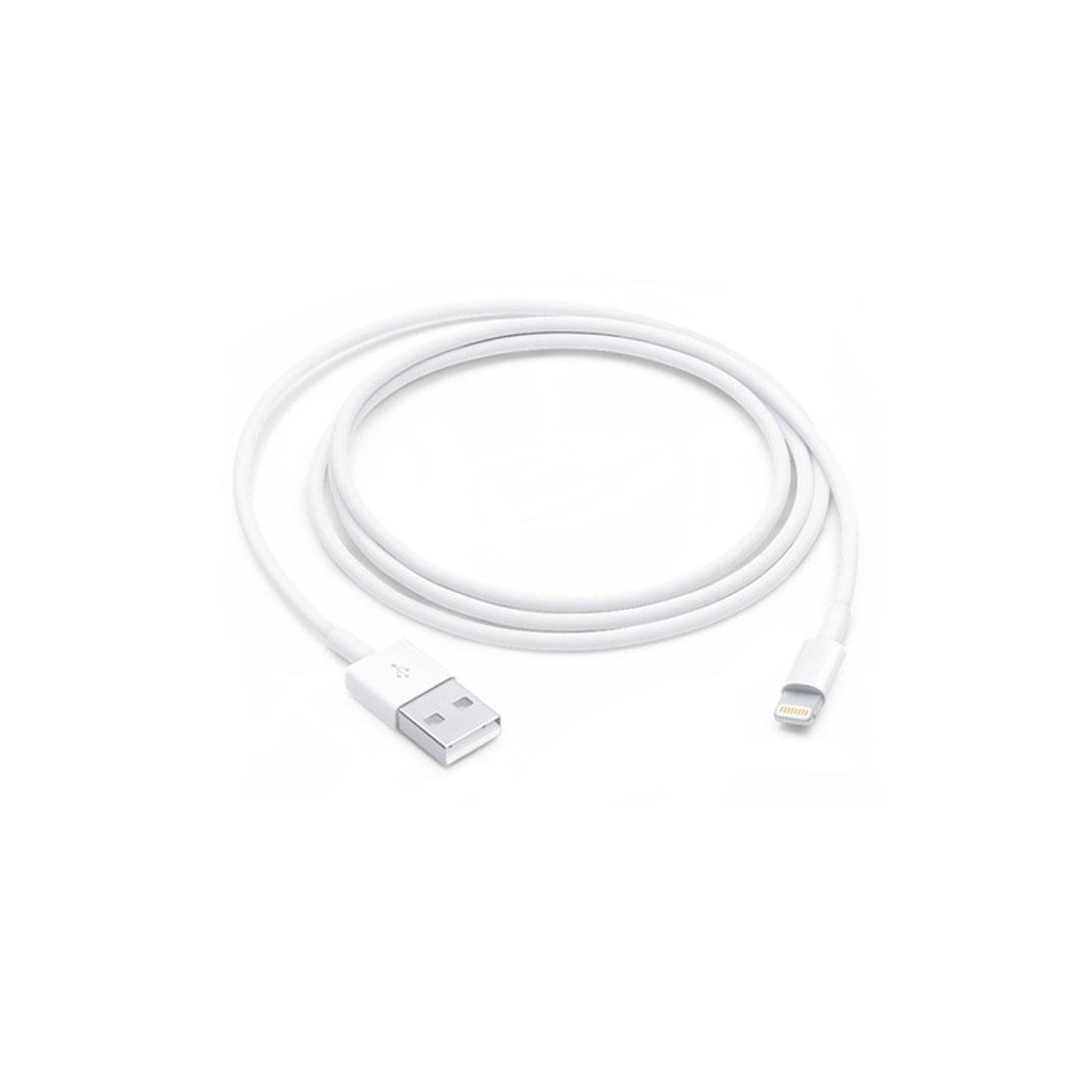 Apple Lightning To USB Cable (1m)