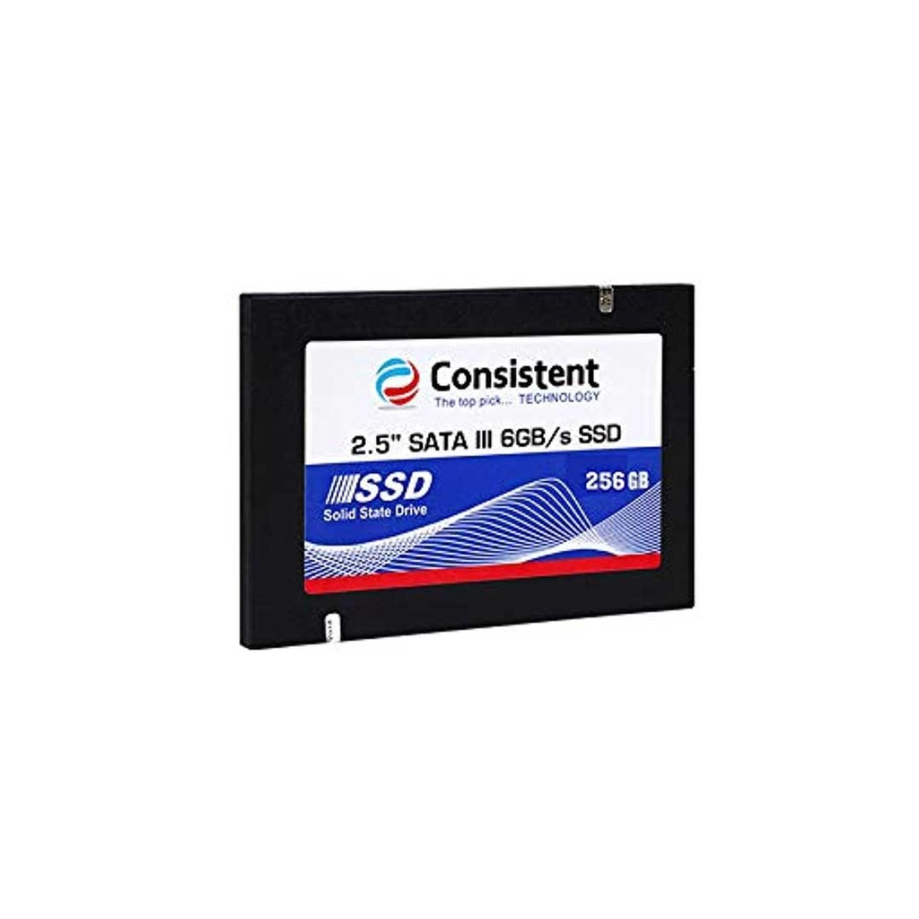 Consistent 256GB SATA SSD (CTSSD256S6)