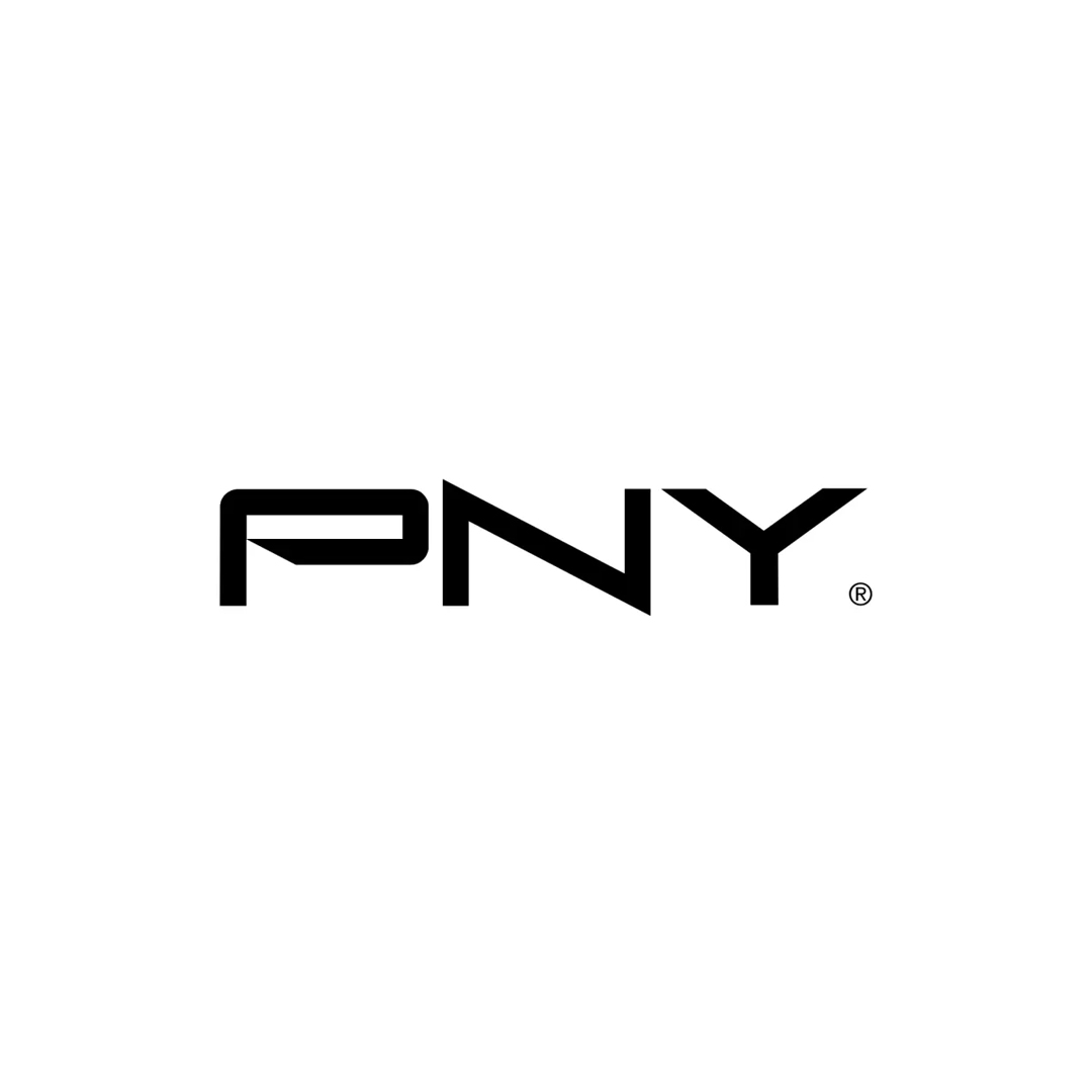 Brand: PNY