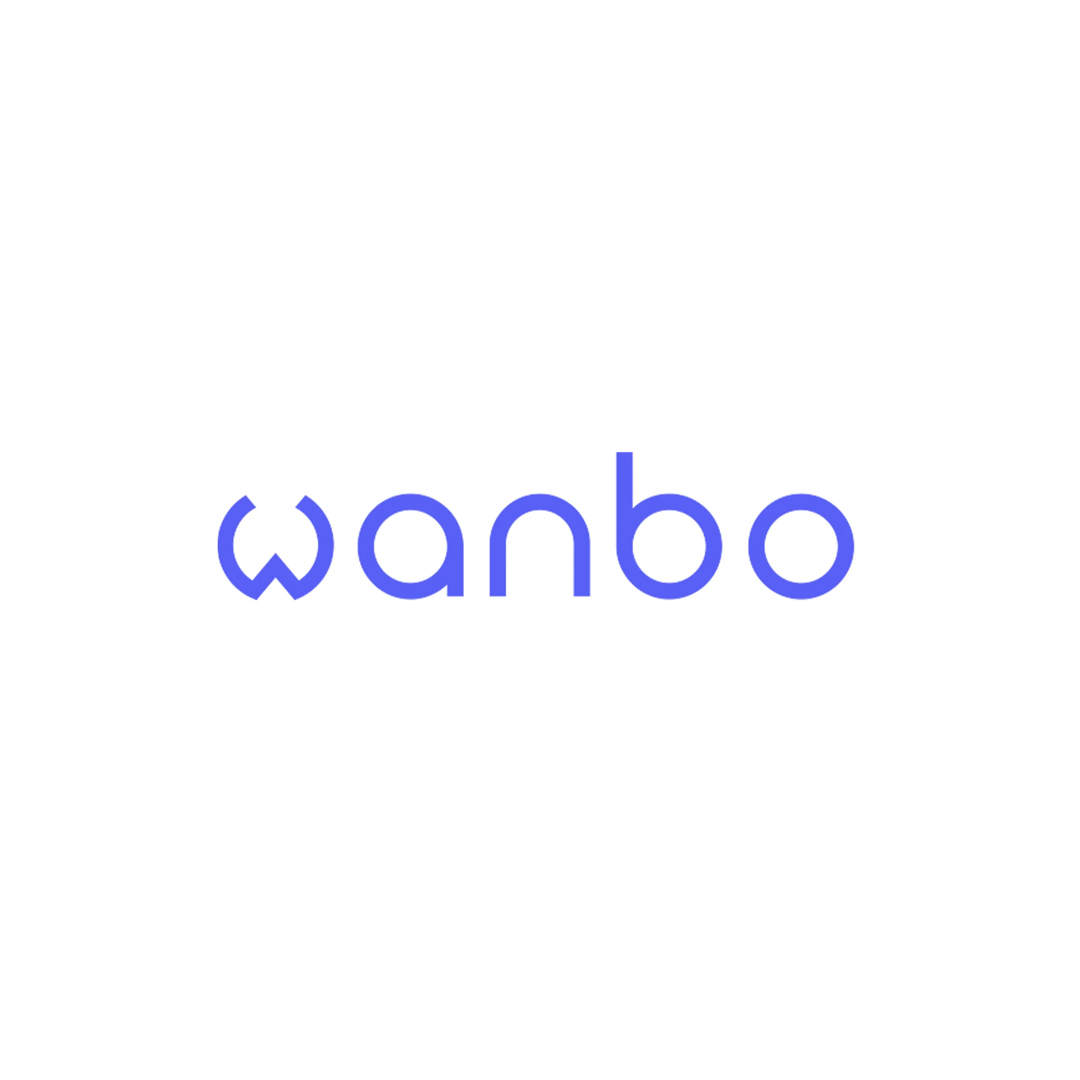 Brand: Wanbo