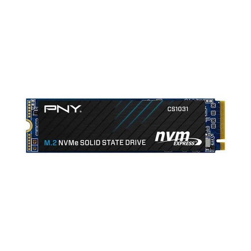 PNY 256GB M.2 NVMe Gen3 SSD (CS1031)