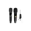 HiFuture WM100 Professional Wireless Microphone