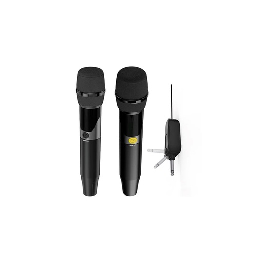HiFuture WM100 Professional Wireless Microphone